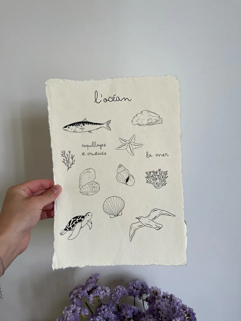 L'océan