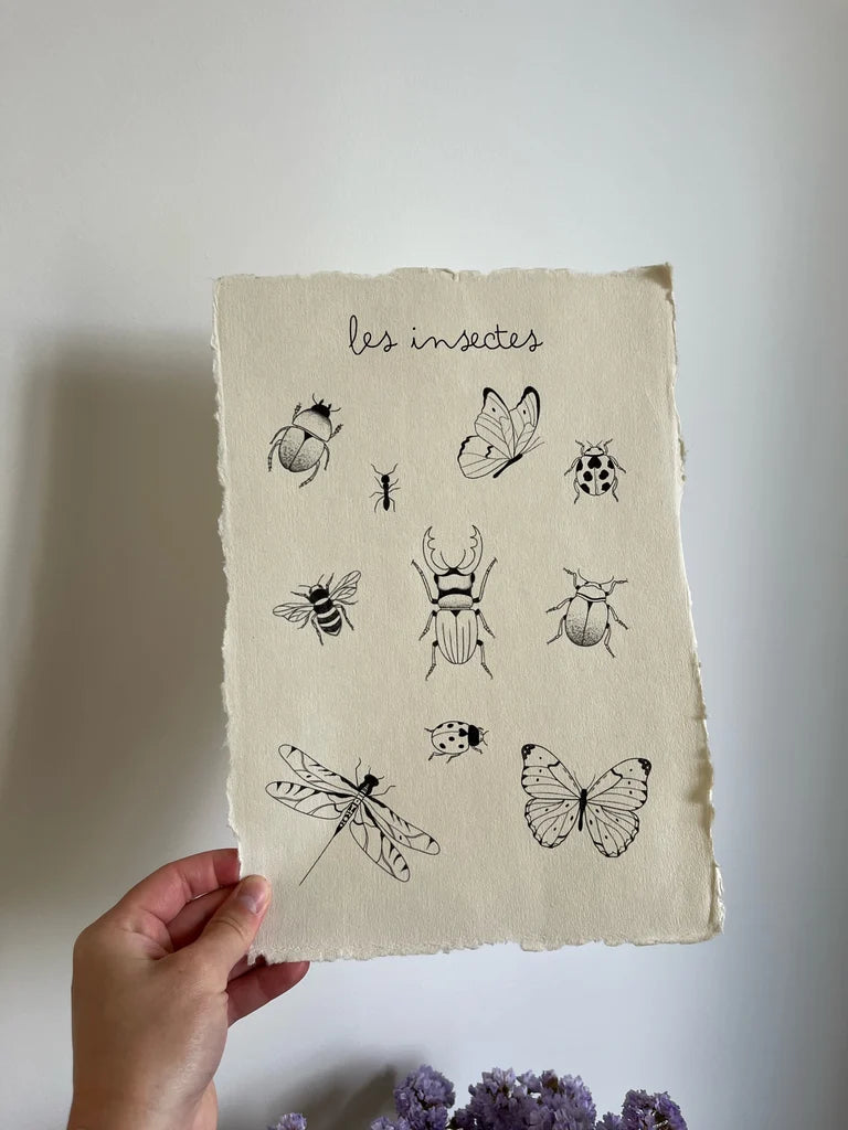Les insectes